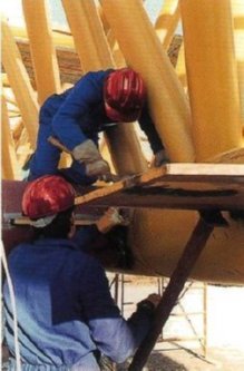 NOTAS TECNICAS de PREVENCION INSHT NTP (462)